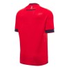 Maillot de Supporter CA Osasuna Domicile 2024-25 Pour Homme